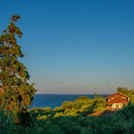 Bella Mare Tsilivi Villas Zakynthos Town
