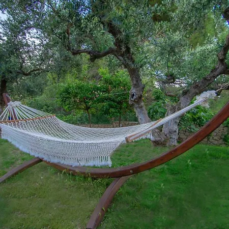 Bella Mare Tsilivi Villas Hotel apartamentowy Zakintos